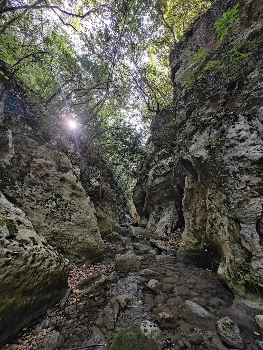 Syria's coastal mountains
